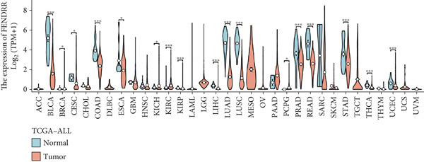Figure 37