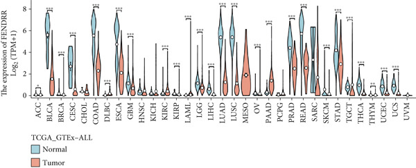 Figure 38