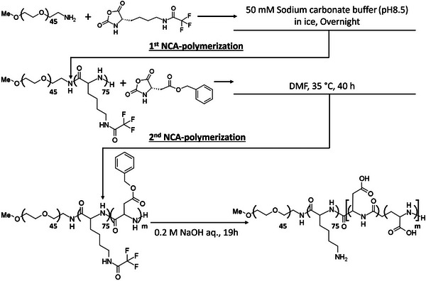 Scheme 2