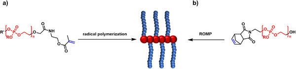 FIGURE 17