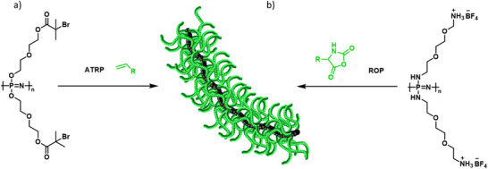 FIGURE 8