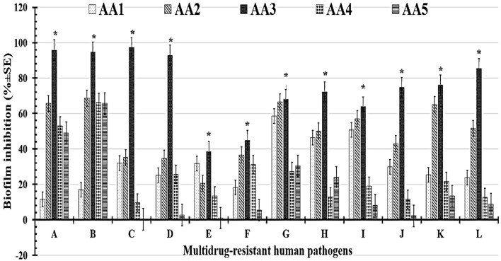 Fig. 10