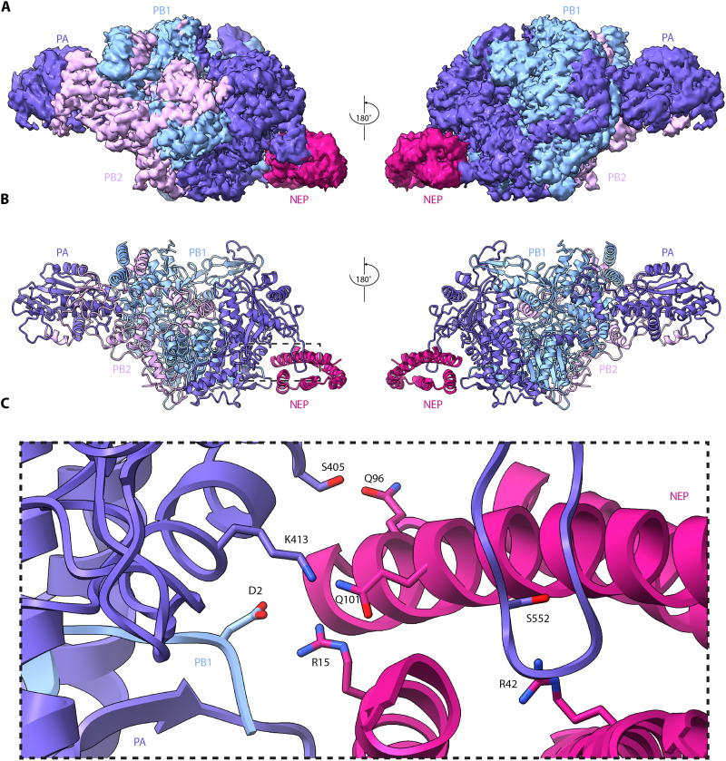 Fig. 2