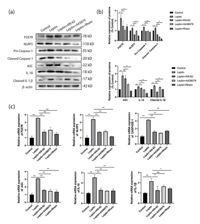 Figure 5