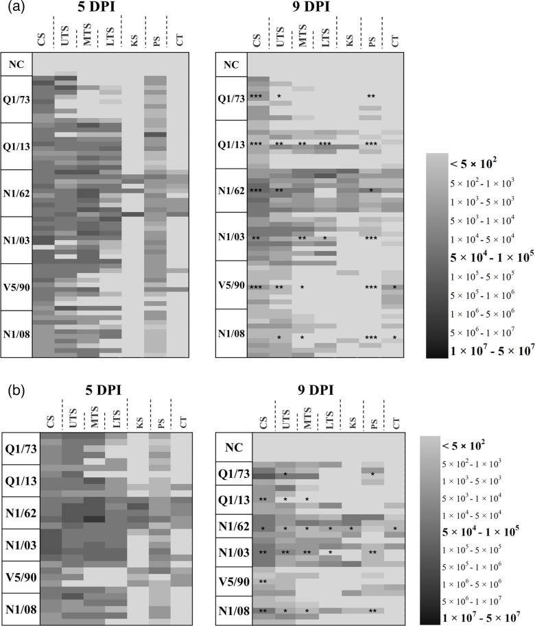 Fig. 7