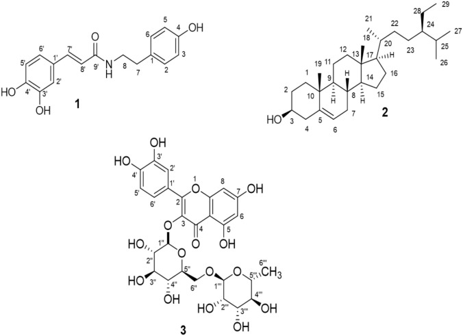 Fig 5