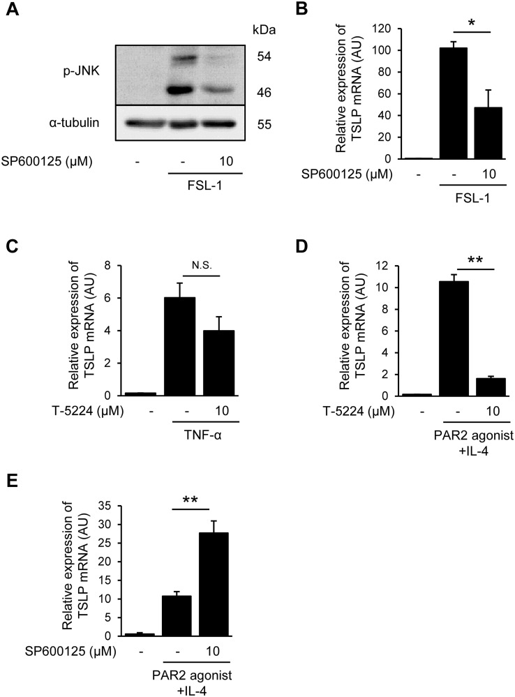 Fig 5