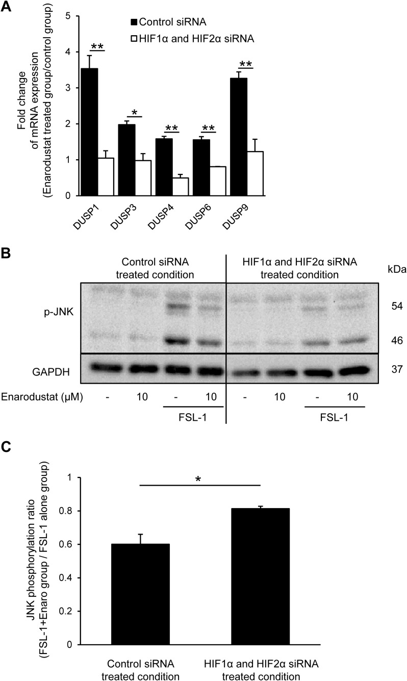 Fig 8