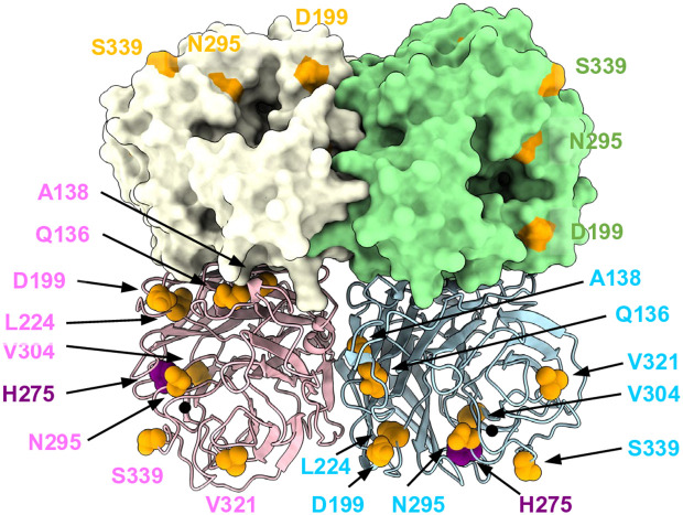 Fig 10