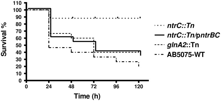 Fig 5