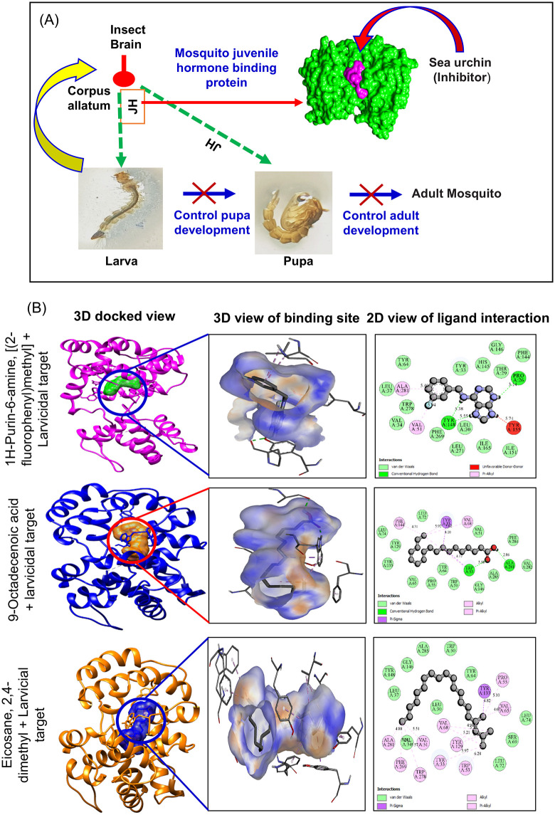 Fig 5