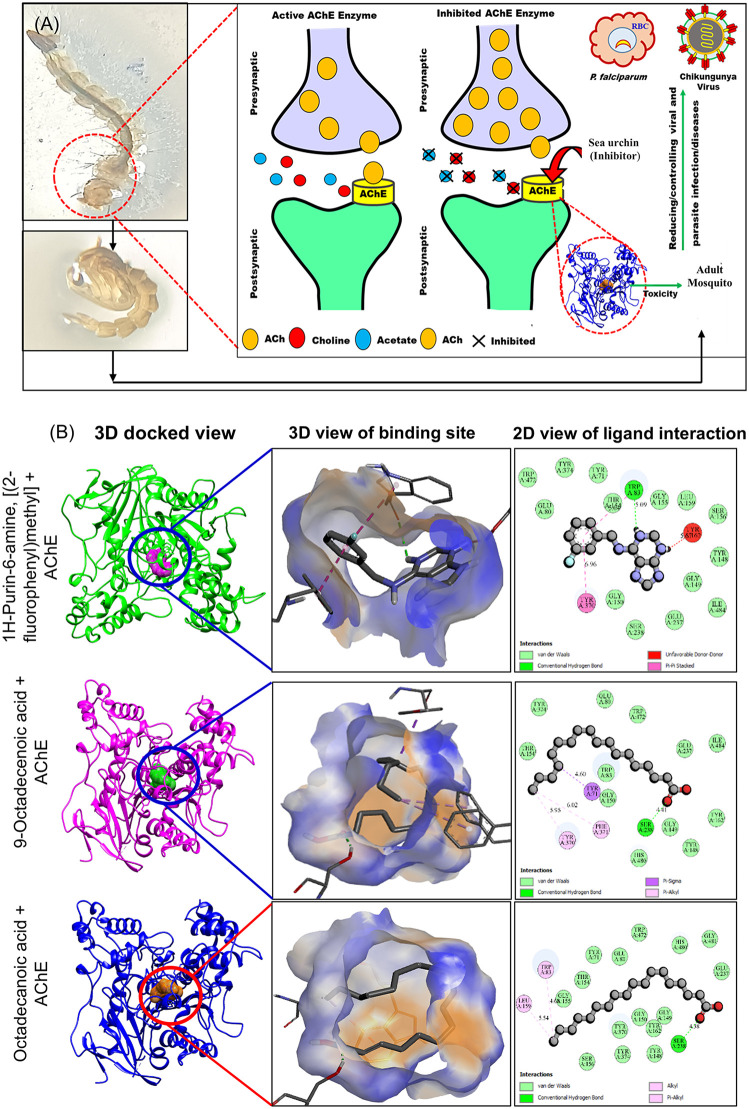 Fig 6