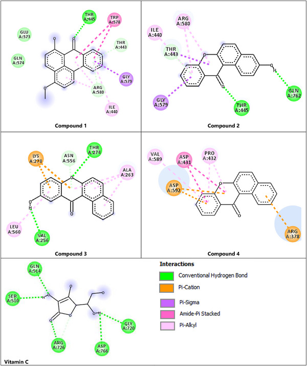 FIGURE 4