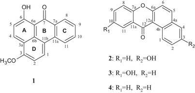 FIGURE 1