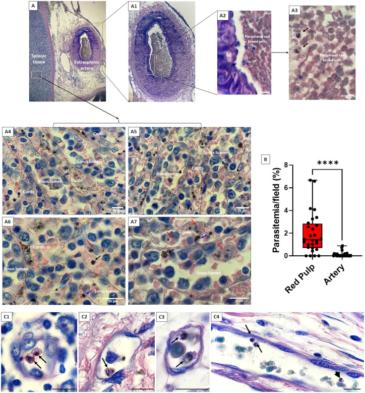 Fig 1