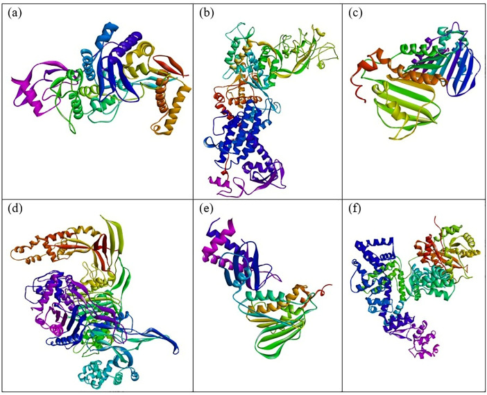 Fig 6