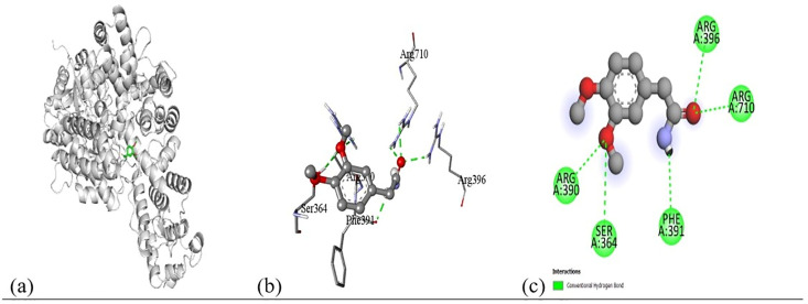 Fig 12