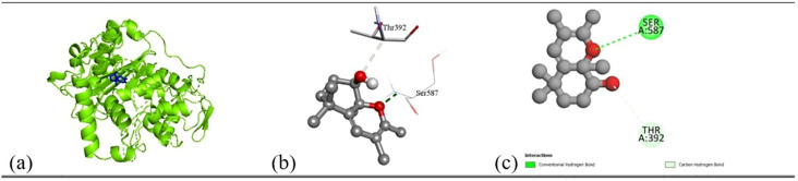 Fig 13