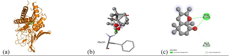 Fig 17