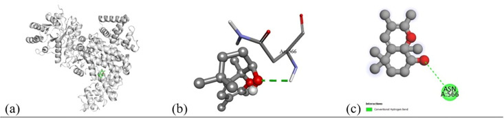 Fig 18