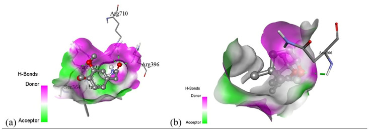Fig 24