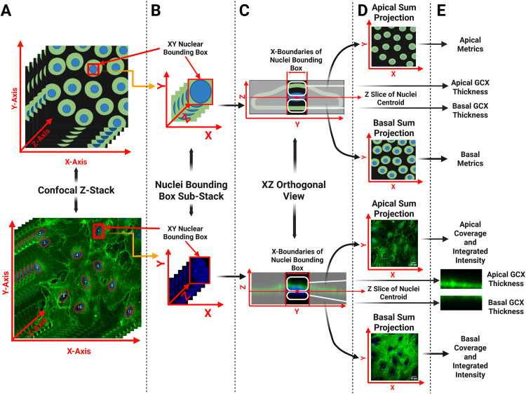 Fig 6