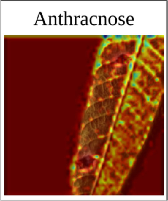 Fig 7