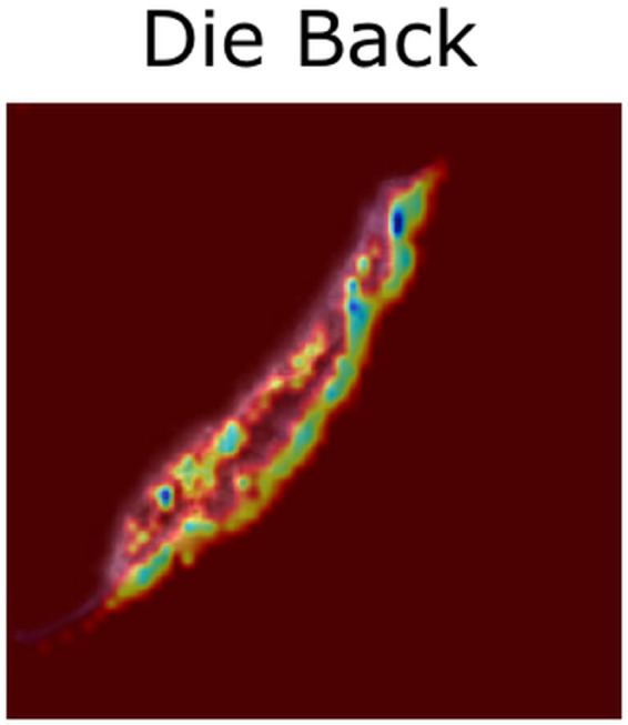Fig 10