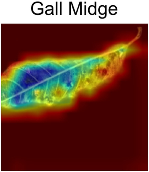 Fig 11
