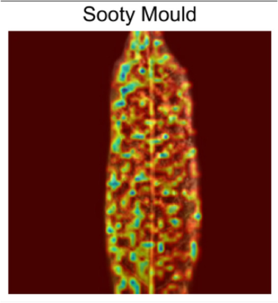 Fig 13