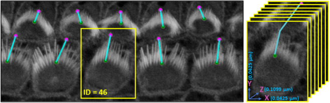 Fig 8