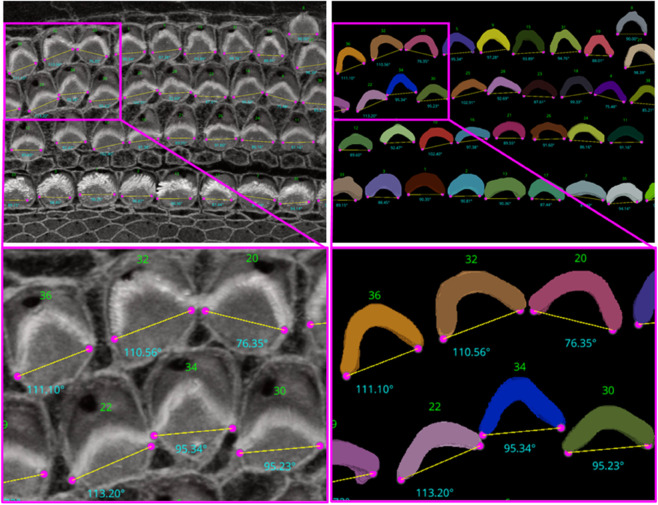 Fig 14