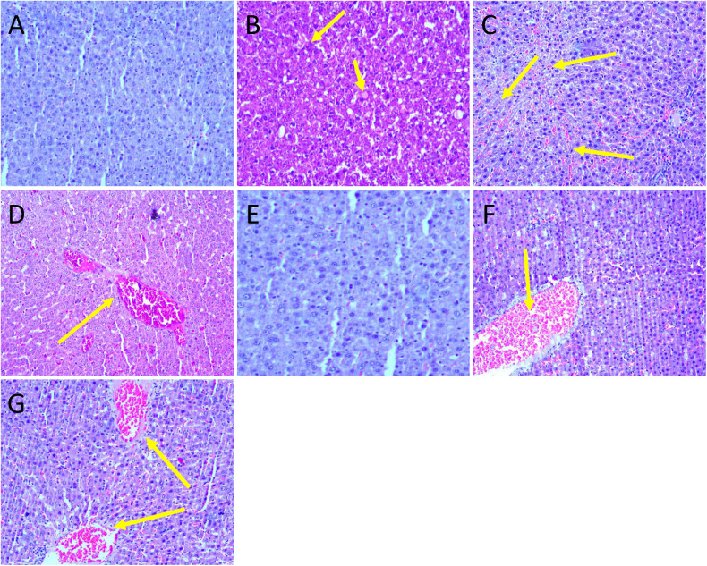Fig 8