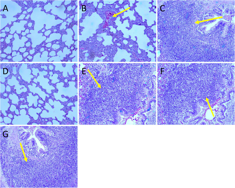 Fig 9