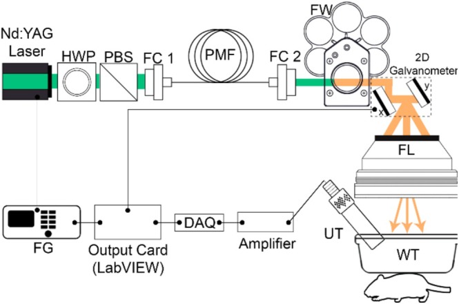 FIGURE 1