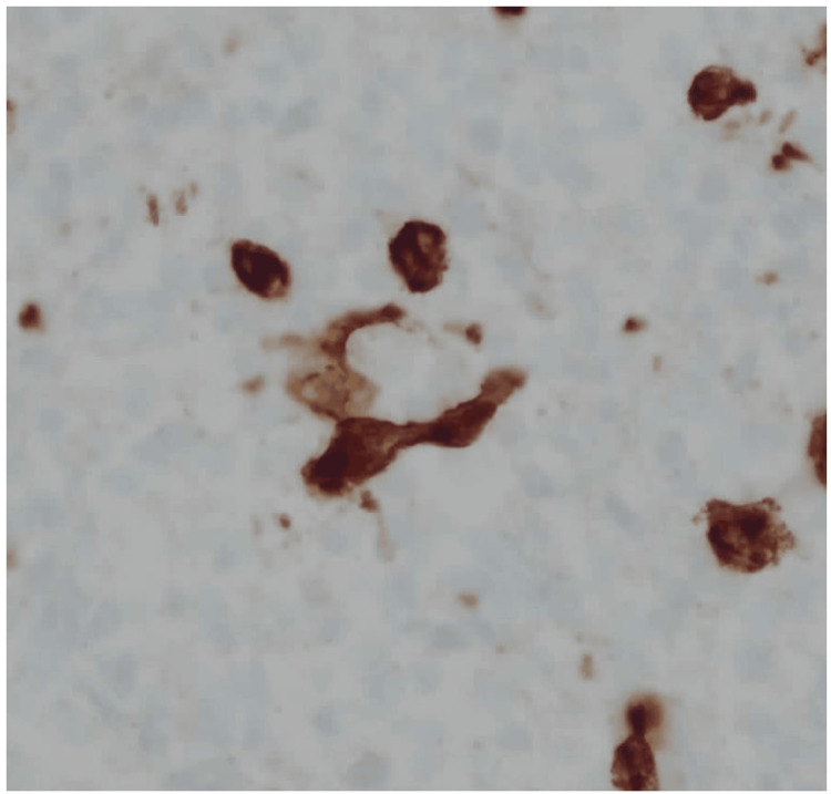 Figure 5