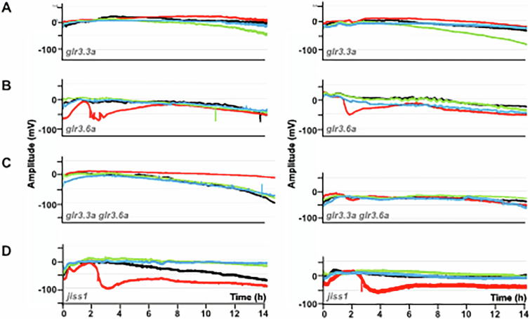 Figure 14