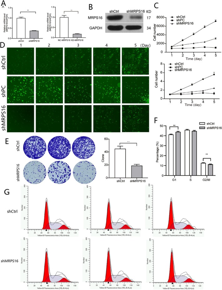 FIGURE 2