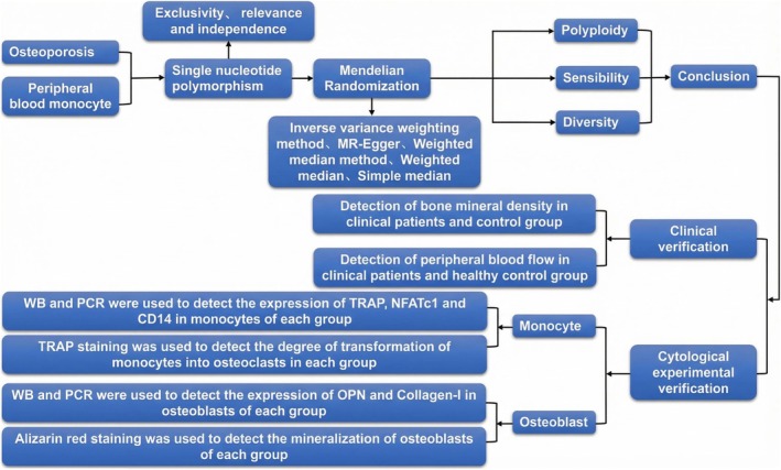 FIGURE 1