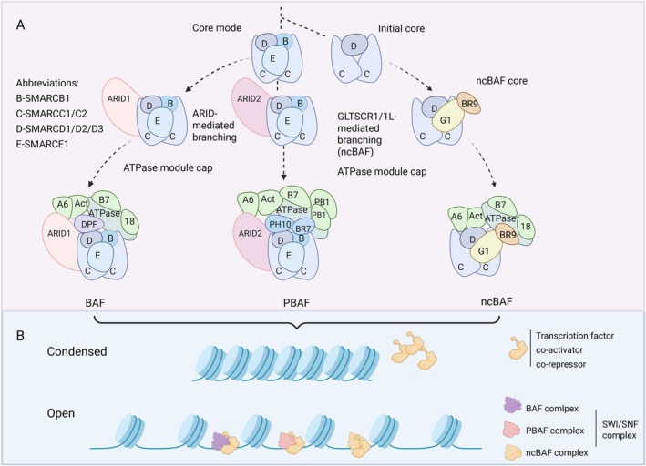 FIGURE 1