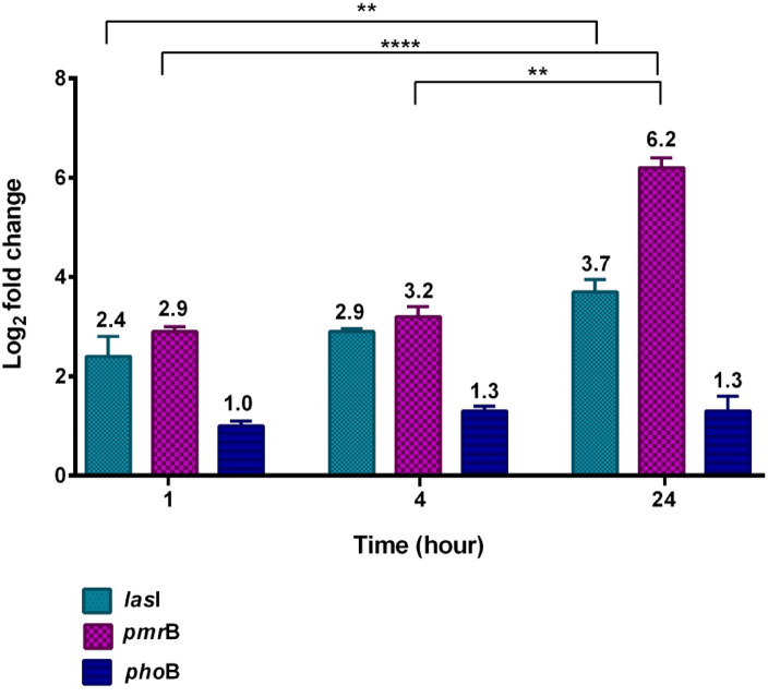 Figure 6