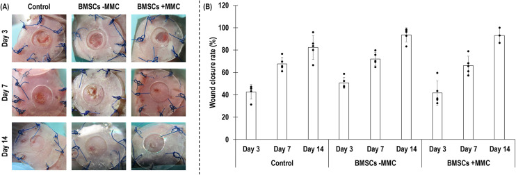 Figure 5