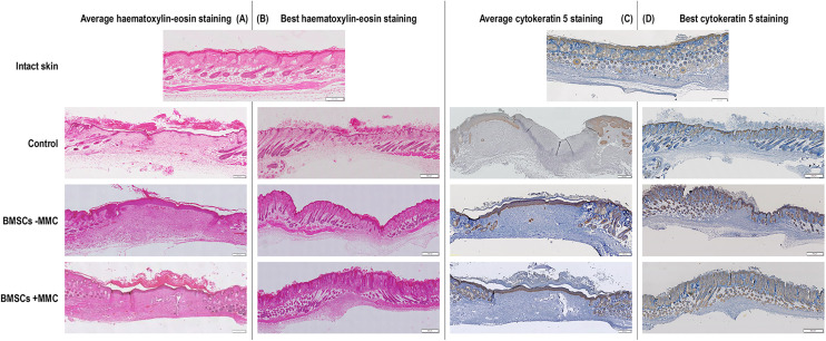 Figure 6