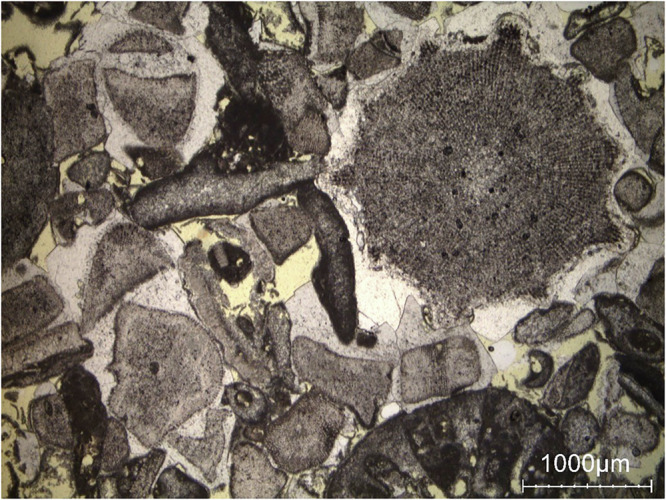 Figure 12