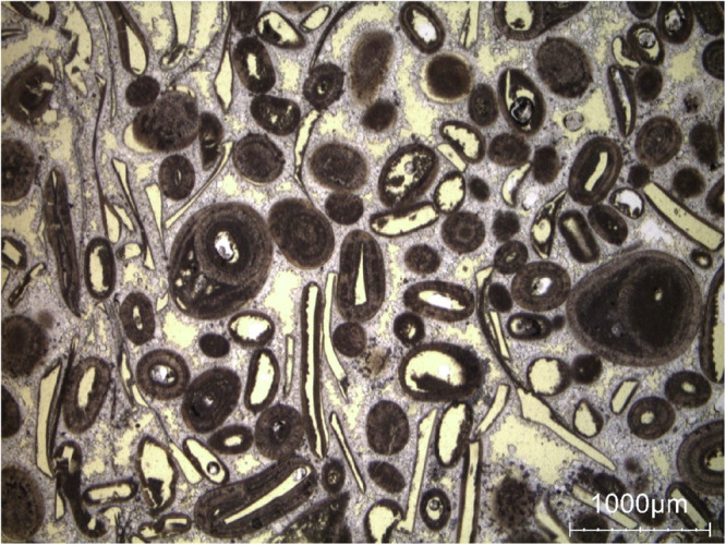 Figure 16