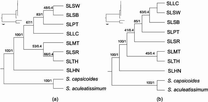 Figure 7