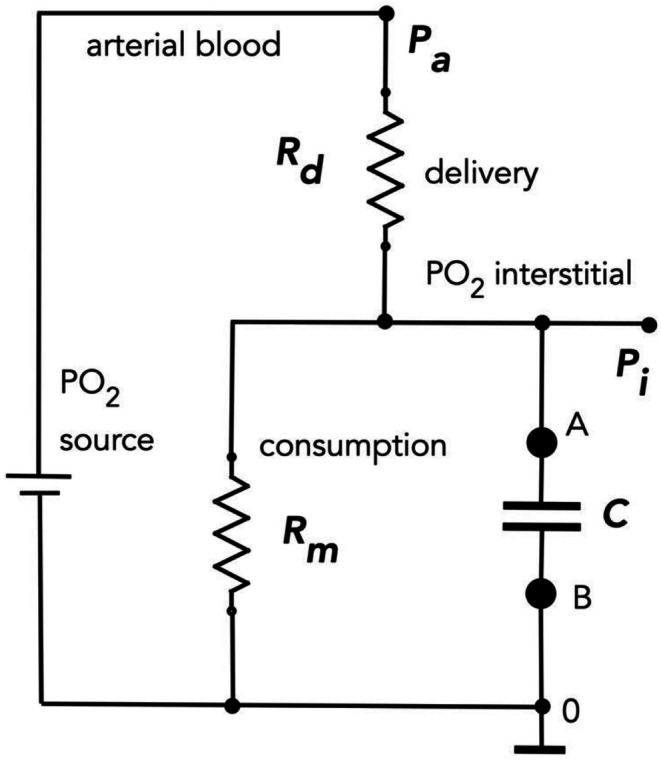 FIGURE 2
