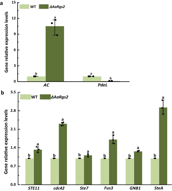 FIGURE 4