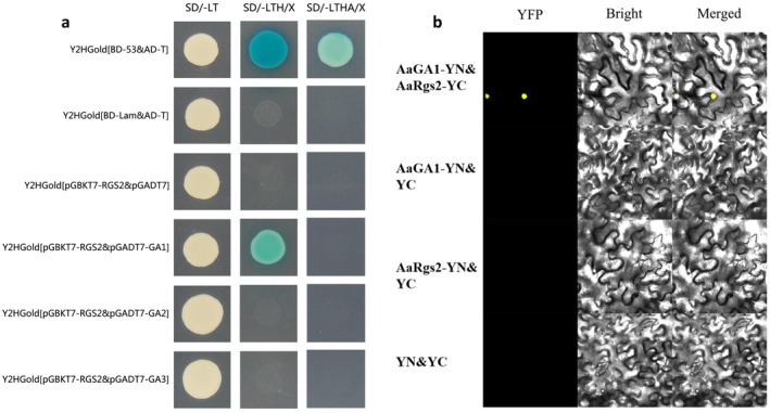 FIGURE 6