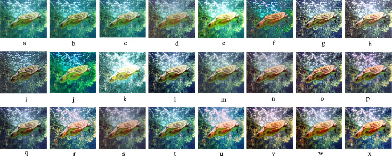 Figure 7